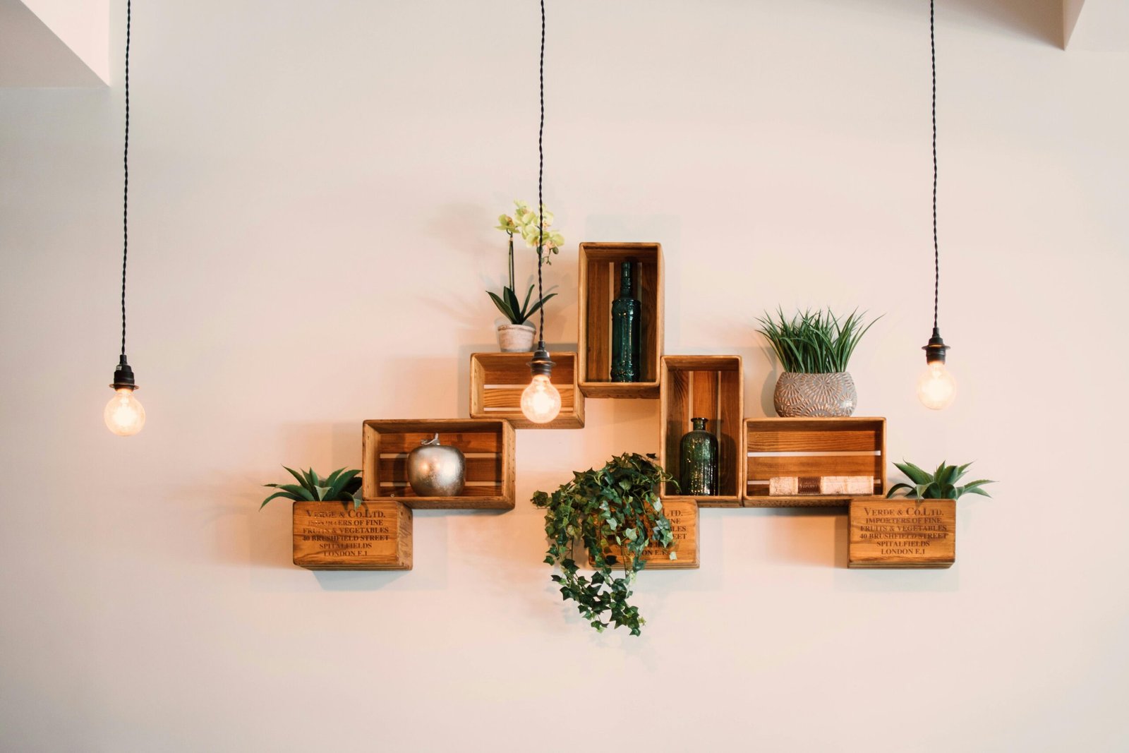 pexels-photo-1090638-1090638 Contemporary wooden shelves with plants and decor, illuminated by hanging lights.